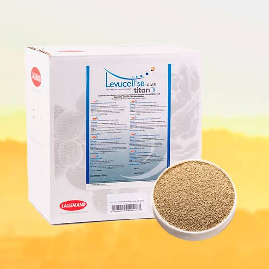 Levadura viva Levucell® SC 10 ME TITAN